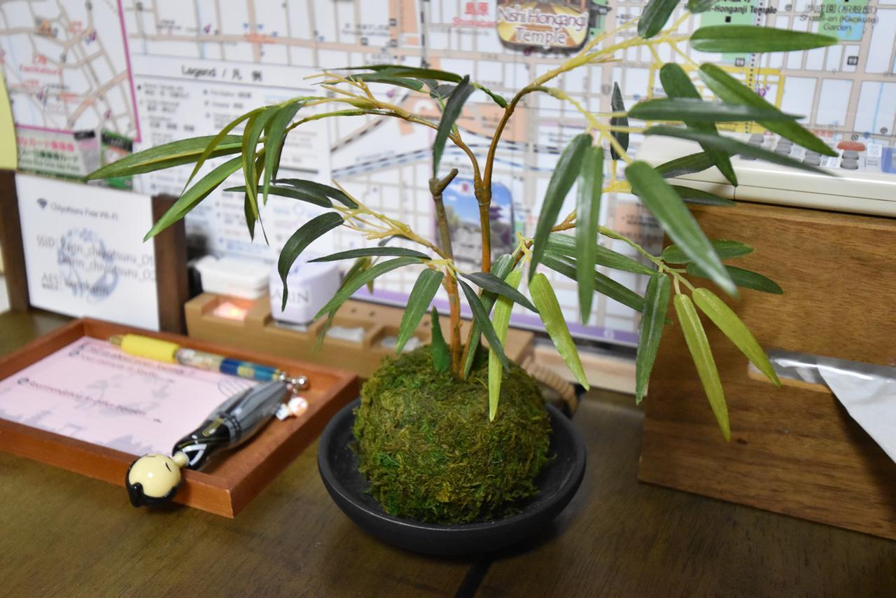 Kyoto Villa Chiyotsuru Zewnętrze zdjęcie